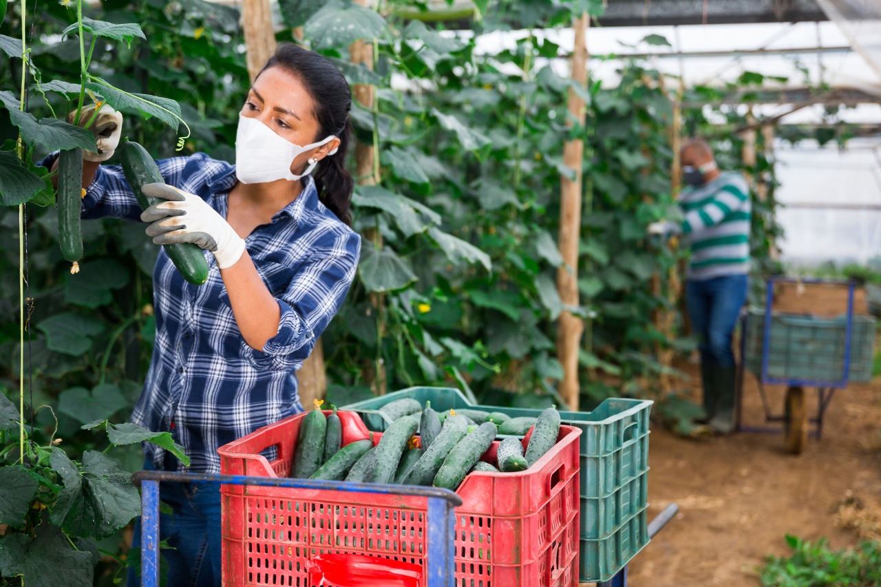 Mejor prevenir… Medidas para el sector agropecuario ante la Covid-19 Parte  3 | Instituto Interamericano de Cooperación para la Agricultura