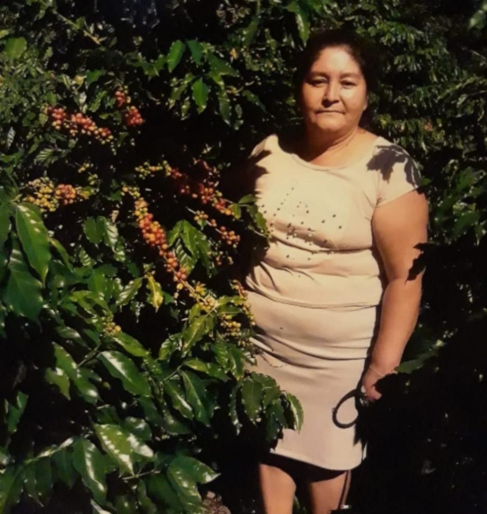 Elvia creció en San Antonio Huista, y desde la infancia se adiestró en el cultivo del café.