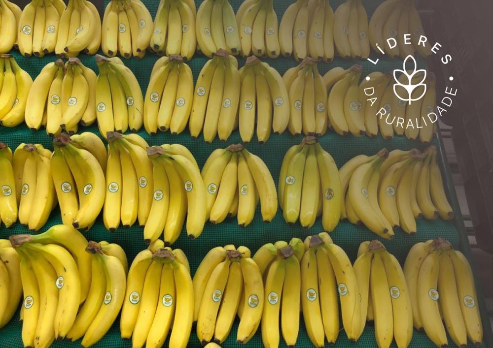 COOBANA, que vende su fruta a países como Suiza, Holanda, el Reino Unido, Italia y Nueva Zelanda, ha ganado en 2017 el premio al Exportador del Año, que otorga el Ministerio de Comercio e Industria de Panamá. La cooperativa está exportando a razón de un millón de cajas de 18 kilos cada una al año. También vende a supermercados en Panamá.
