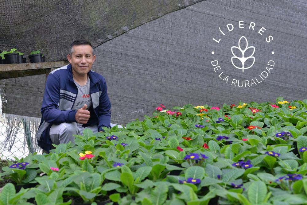 Julio César Delgado es uno de los pocos cultivadores de especies florales ornamentales en Colombia que produce violeta de los Alpes, planta de origen francés cuya belleza cautiva a todo aquel que la conoce y aprecia. 