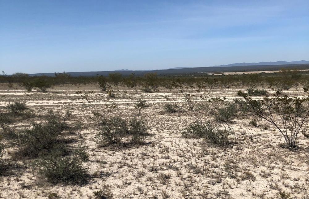 Desierto semiárido del estado de Nuevo León, México, donde el proyecto INNOVA AF apoya para que los pequeños productores identifiquen problemas, retos y oportunidades con el fin de fomentar el desarrollo sostenible y la adaptación al cambio climático de la agricultura familiar.