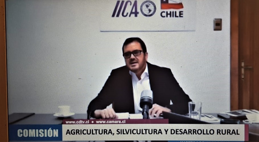 Hernán Chiriboga, Representante IICA en Chile