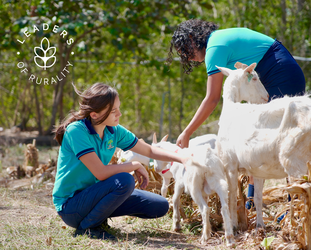 Los colegiales cuentan con 13 cabras -incluido el macho- con las que producen leche y queso, y han incursionado en pruebas para generar subproductos como yogurt.